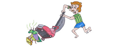 Alleen stofzuigen helpt tegen berkenwantsen!