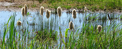 Fietsprovincie Drenthe en Groningen in één dag