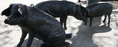 Holten en Markelo, plaatsen voor bezinning