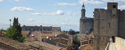Camargue; een uniek landschap in het zuiden van Frankrijk