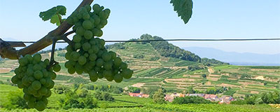 Wil je dit jaar luxe kamperen? Go glamping in Duitsland!