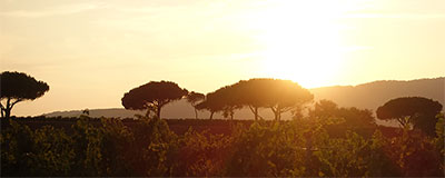 De Côte d’Azur met al haar charmes verleidt ons steeds weer