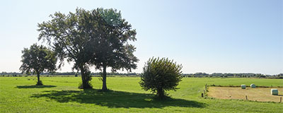 Weidse stilte en stedelijke allure in Salland