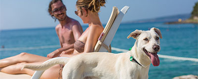 Top 5 hondvriendelijke campings in Kroatië