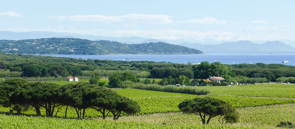 De stranden liggen er in 2023 nog mooier bij