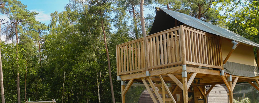 vijfsterrencamping Haeghehorst in Ermelo