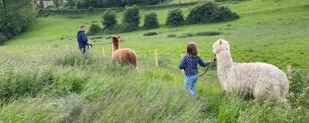 BoerenBed Fermette des Trois Tilleuls