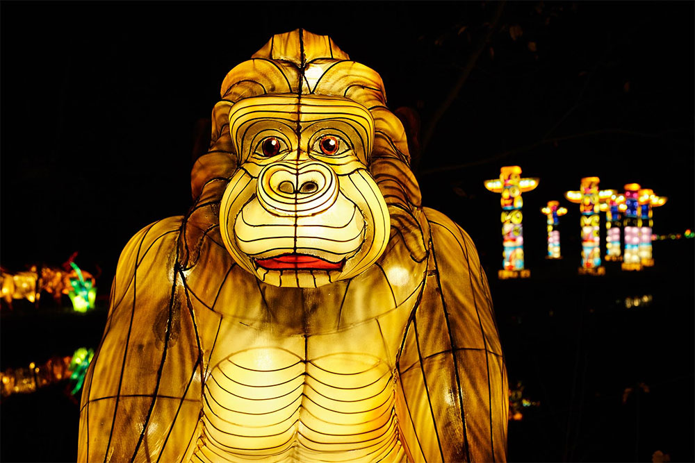 Africa by Light, Beekse Bergen Africa by Light, Beekse Bergen