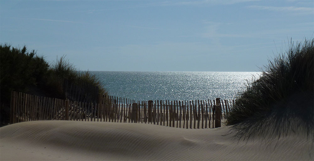 Zoek een camping onder de zon