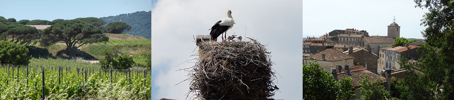 Ramatuelle Ramatuelle