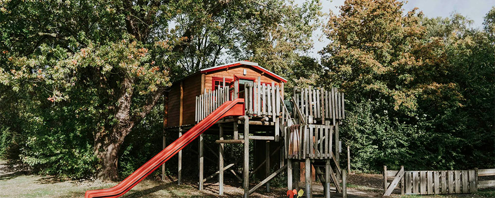 Boomhurt Dierenbos de boomhut op dierenbos