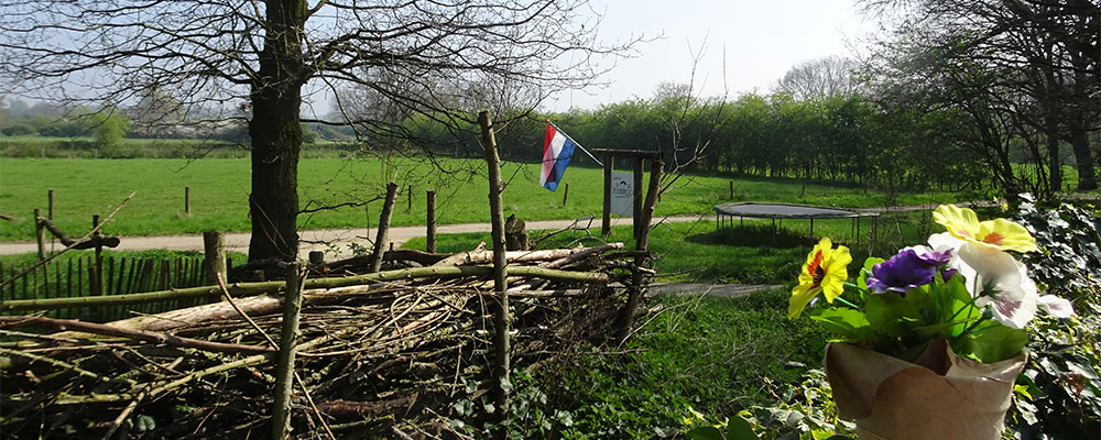De heggen in de uiterwaarden van de Maas vanaf terras de Schutkooi De heggen in de uiterwaarden van de Maas vanaf terras de Schutkooi