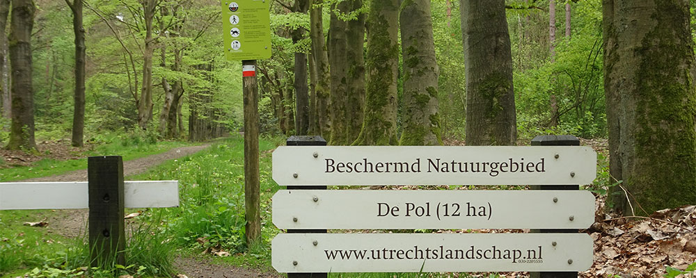 Natuurgebied de Pol natuurgebied de pol in de Utrechte heuvelrug
