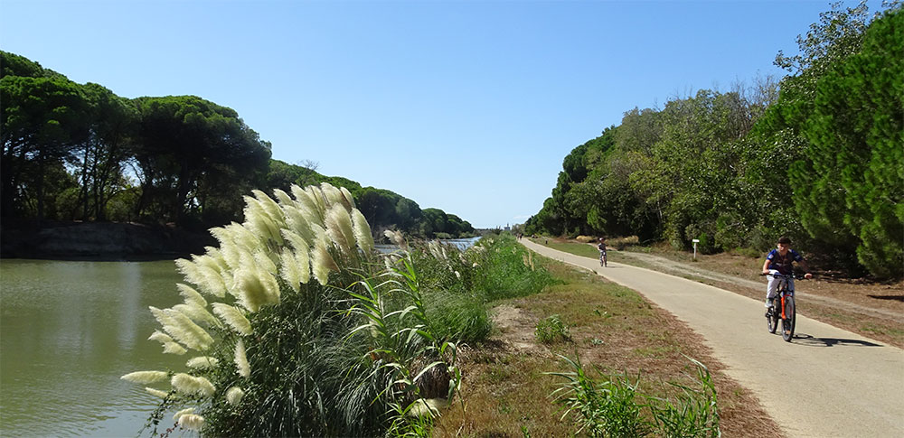Fietsen langs kanaal van Gallician naar Aigues Mortes