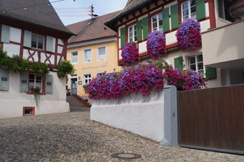 fietsen vanaf de camping