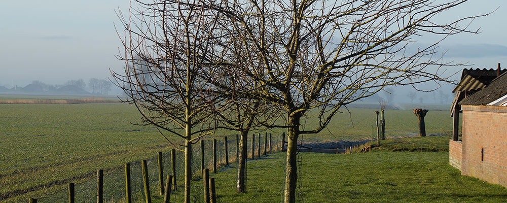 Het landschap in Groningen Het landschap in Groningen