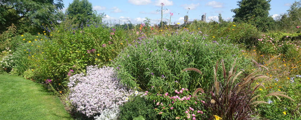 Jardins de Coursiana Jardins de Coursiana