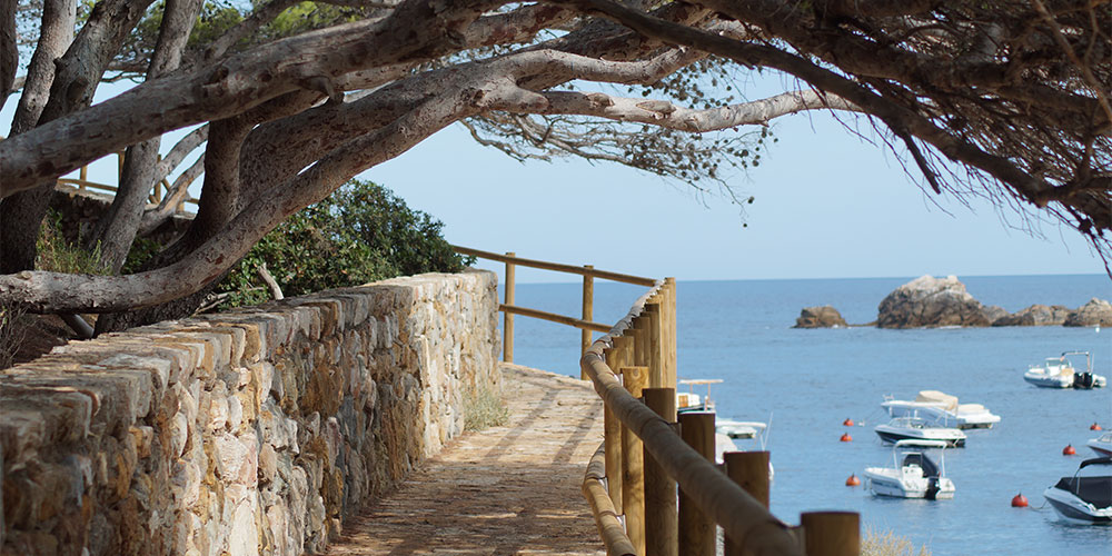 Kust met leuke stranden Begur, Spanje Kust Begur, Spanje