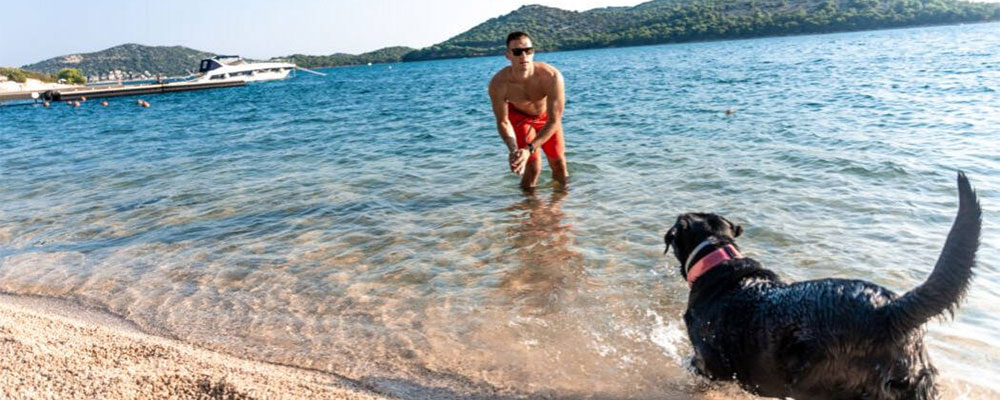 met de hond op strand olivia green