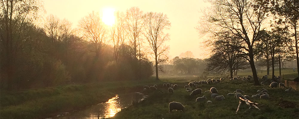 Ondergaande zon, terras golfbaan Bleijenbeek Ondergaande zon, terras golfbaan Bleijenbeek