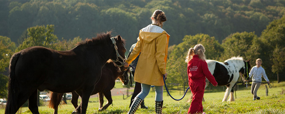 Met paard wandelen Met een paard wandelen op een Farmcamps camping