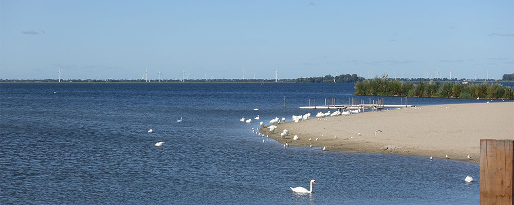 Uitzicht vanaf Hardwijk op een strandje aan het Veluwemeer Uitzicht vanaf Hardwijk op een strandje aan het Veluwemeer