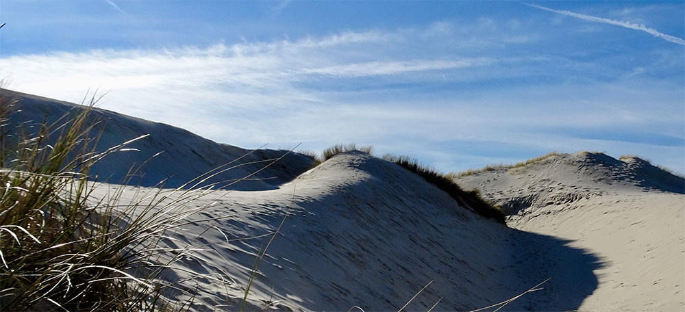 Duinen Noord Holland Duinen Noord Holland