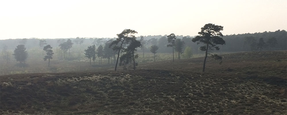 Uitzicht uitkijktoren Afferden Uitzicht uitkijktoren Afferden