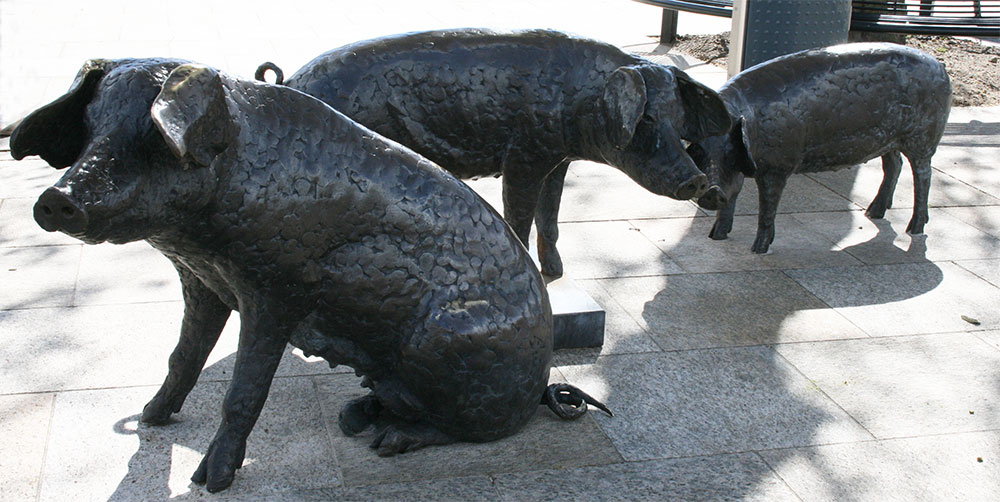 Beeldengroep Holten, drie varkens met krulstaart