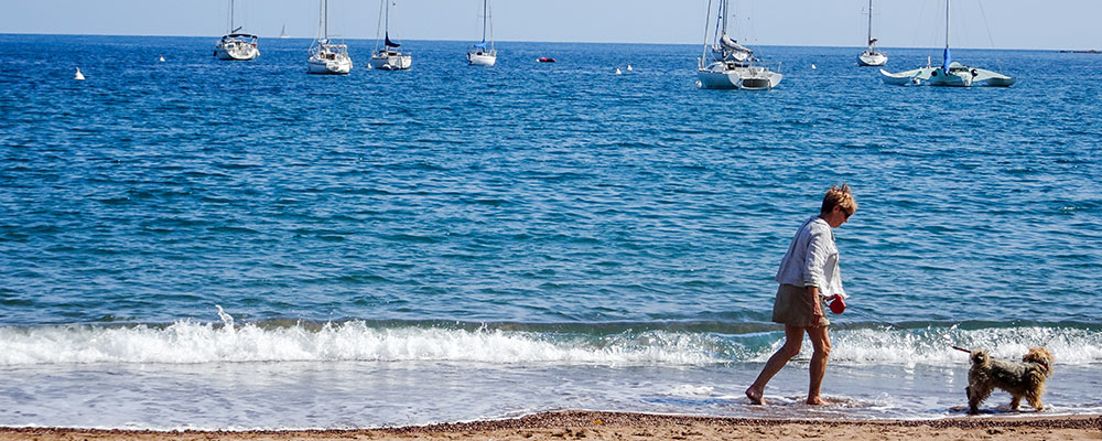 Brug Brug in Frankrijk