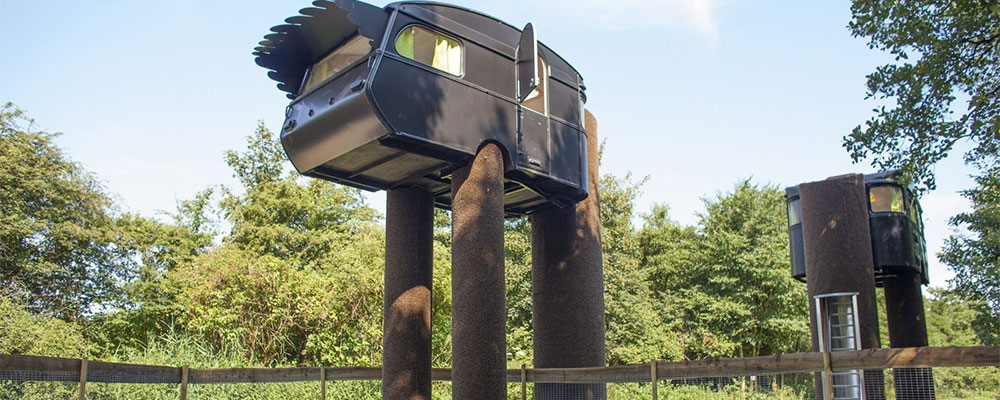 Vreemde vogel De struisvogel accommodaties op de vreemde vogel