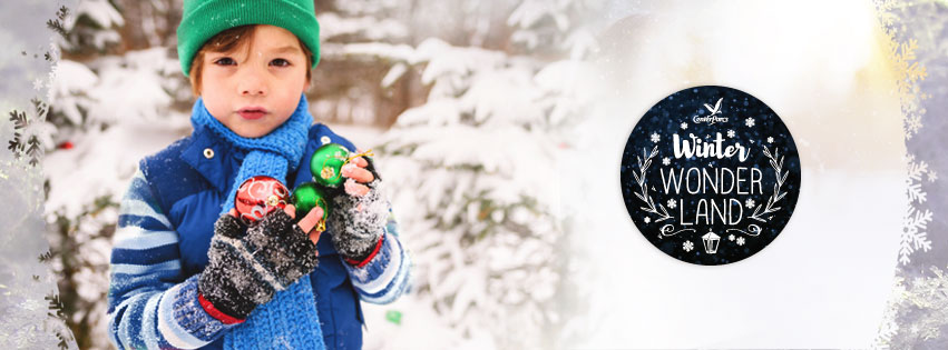 Winter Wonderland Winter Wonderland