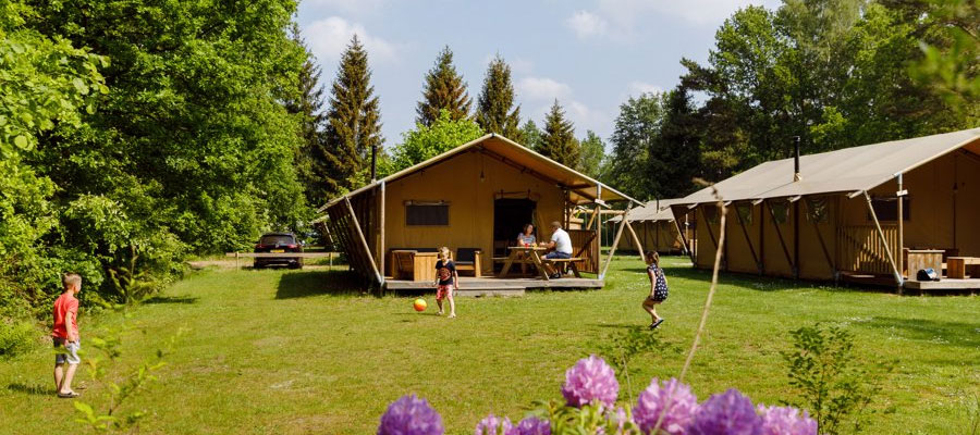 Glampen in een Wold Lodge, luxe kamperen op de Roggeberg