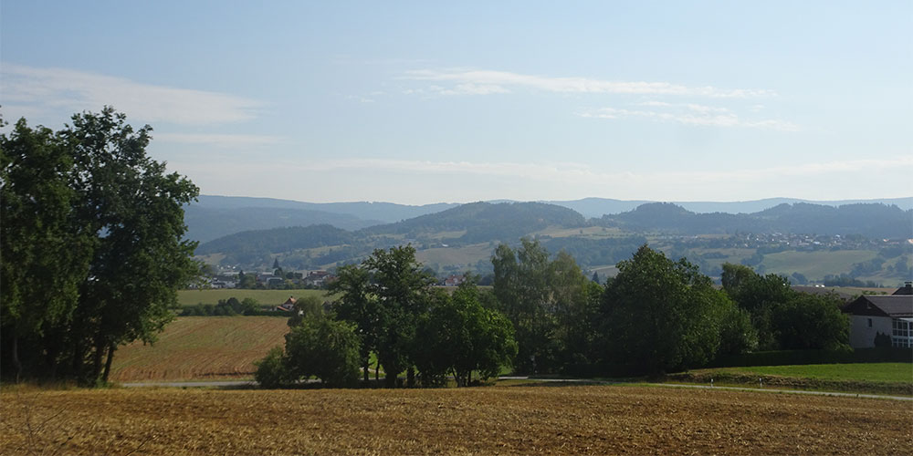 Het Zwarte Woud heel geliefd voor een vakantie in Duitsland