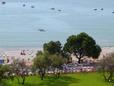 Thumbnail 4 van Oliva