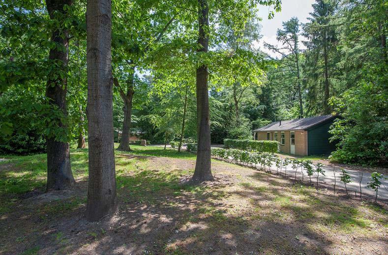 Foto van Bospark de Schaapskooi