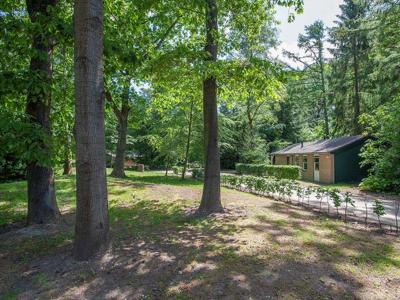 Bospark de Schaapskooi