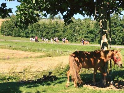 Thumbnail 5 van Domaine d'Essendiéras