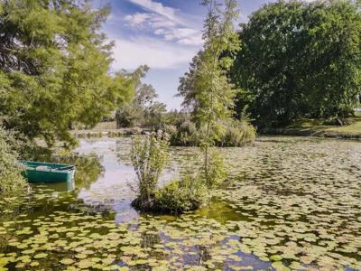 Thumbnail 4 van BoerenBed La Ferme de Fontenille