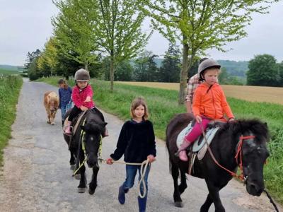 Thumbnail 5 van BoerenBed La Ferme de Fontenille