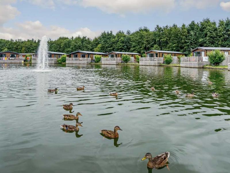 Foto van Landal Woodland Lakes