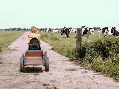 Thumbnail 5 van BoerenBed Botterheerd