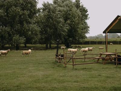 Thumbnail 4 van BoerenBed Landgoed ter Wijnendale