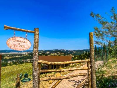 Thumbnail 2 van Terra Saturnia Glamping