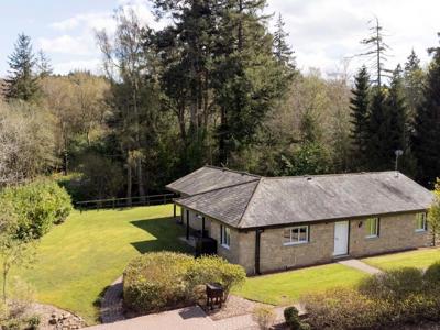 Thumbnail 5 van Landal Hexham Lodges