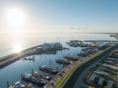 Thumbnail 5 van Oysterduinen