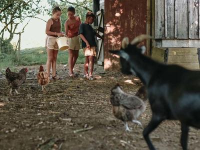 Thumbnail 2 van BoerenBed Les Jardins des Coccinelles