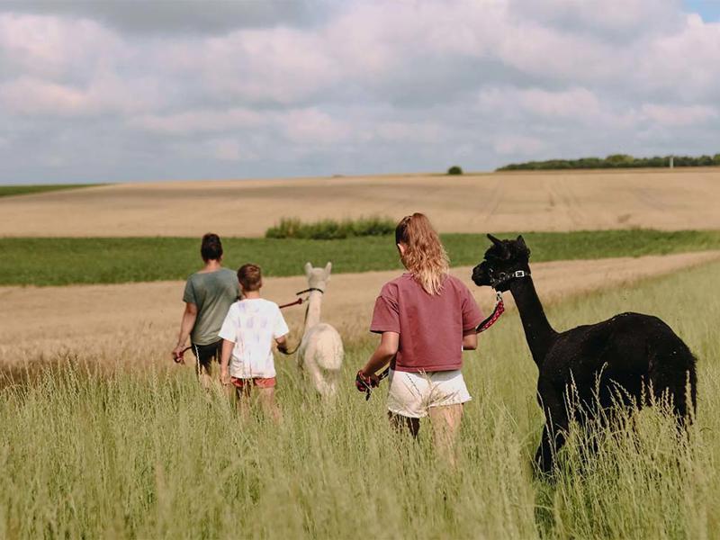Foto van BoerenBed Fermette des Trois Tilleuls