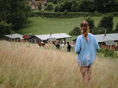 Thumbnail 2 van BoerenBed Fermette des Trois Tilleuls