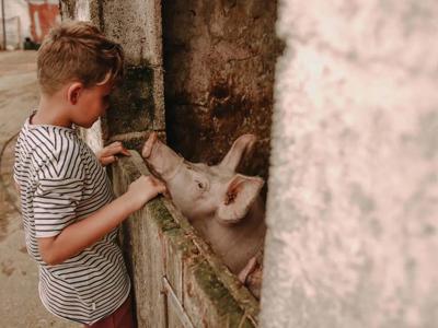 Thumbnail 3 van BoerenBed Fermette des Trois Tilleuls